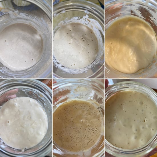 Sourdough Starter Day By Day Photos Popsugar Food Uk