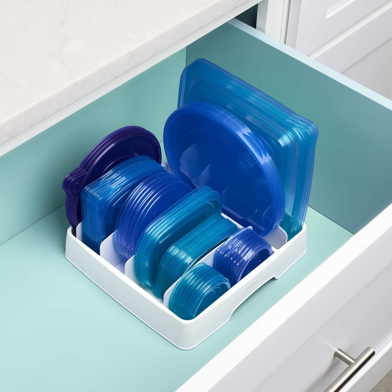 Best Food Container Lid Organizer on