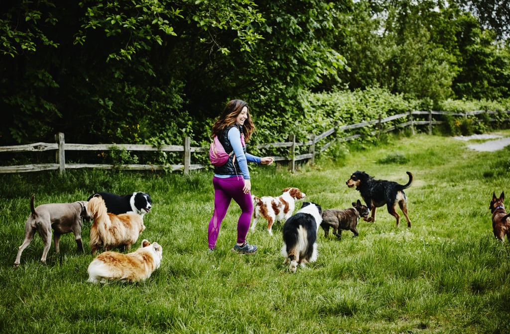Tips for Taking Your Dog to the Dog Park | POPSUGAR UK Pets