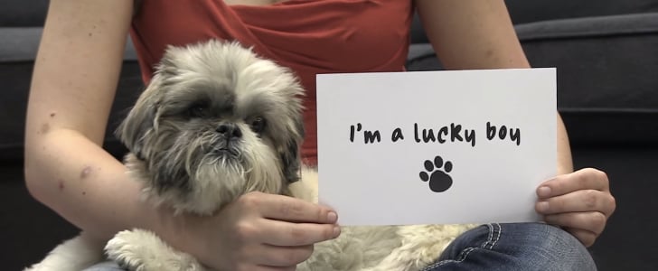 PETA Rescues Dog From Rabbit Hutch