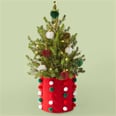 These Cute Mini Christmas Trees Are Real, and Yup, They're Perfect For Your Apartment