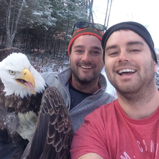 Bald Eagle Selfie