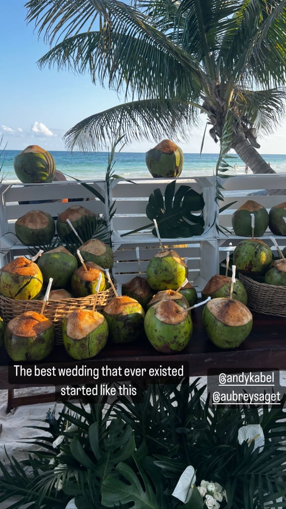 上图:椰子在奥布里Saget和安迪卡贝尔的婚礼。