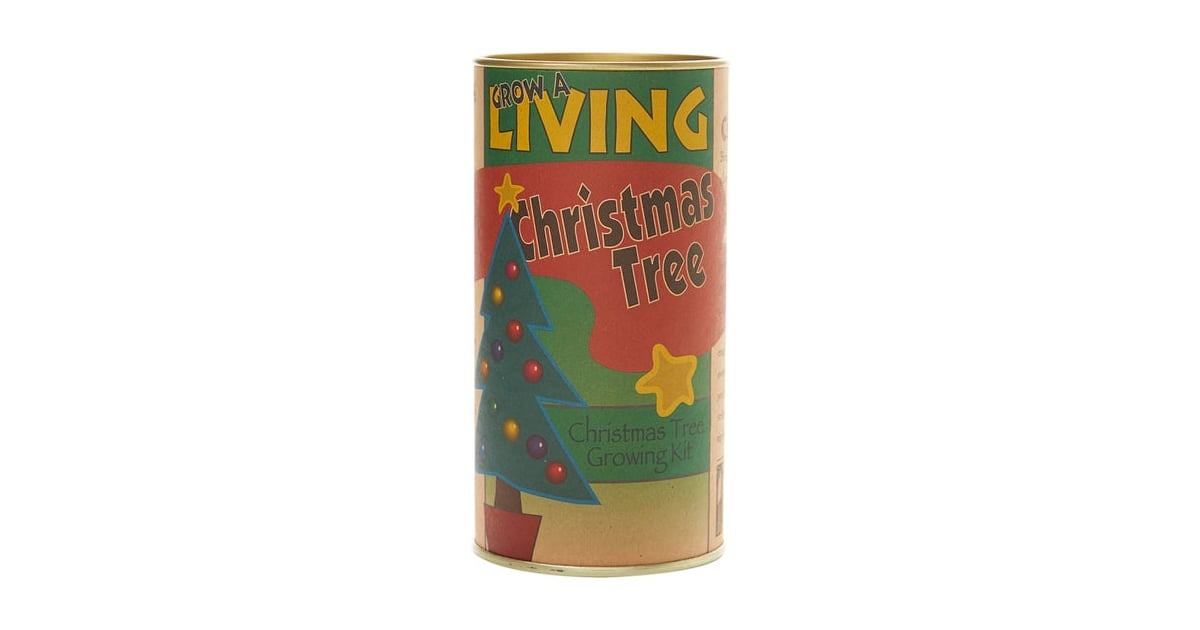 Christmas Tree Seed Growing Kit These Are The Top Trending Gifts On Pinterest And They Are All 100 Or Less Popsugar Smart Living Photo 44