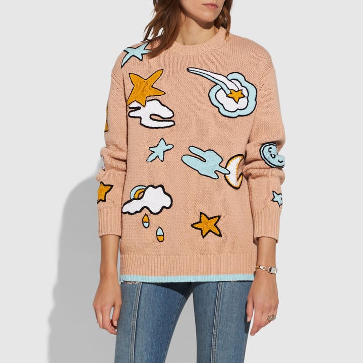 Coach intarsia sweater clearance