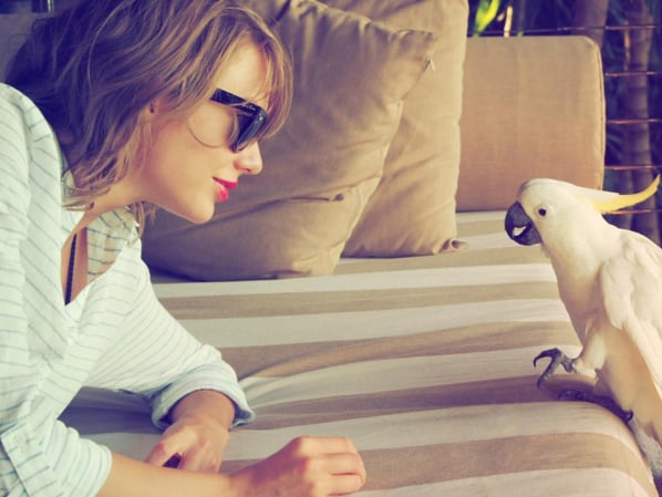 Taylor Swift's Vacation Style Instagrams