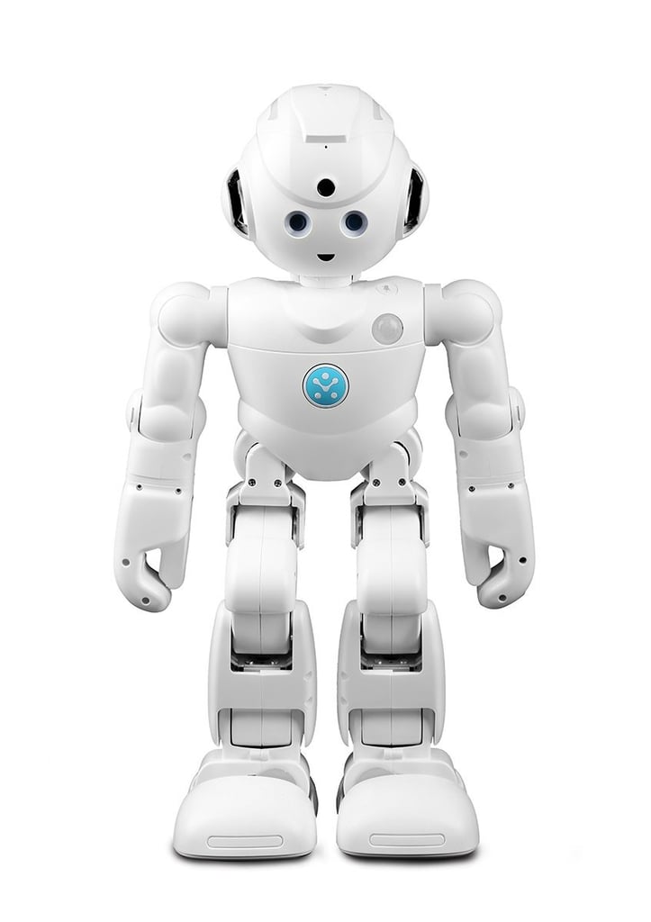 Alexa Smart Home Robot