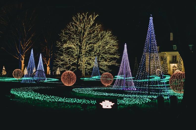 Christmas Zoom Background: Christmas Lights