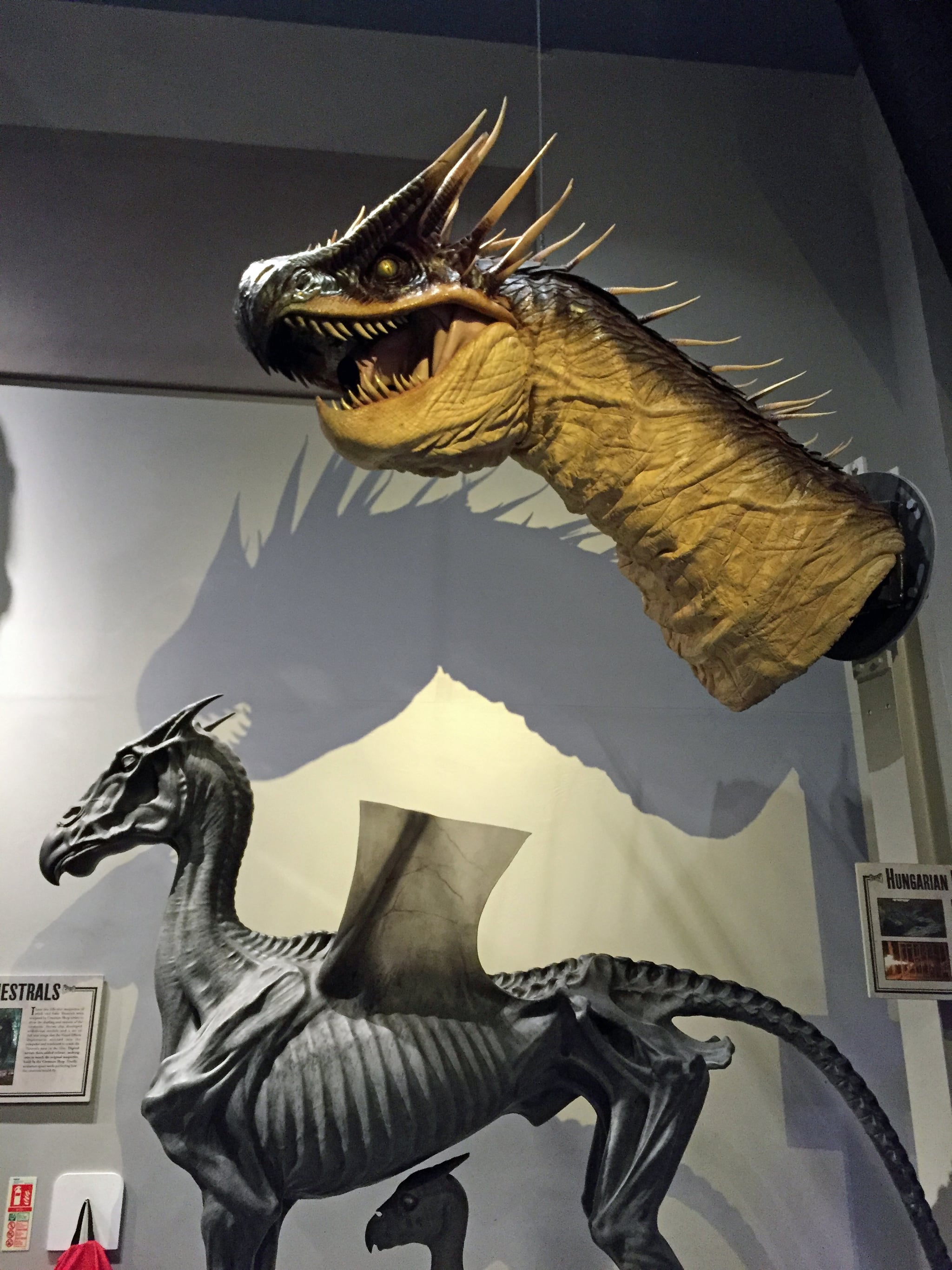 There Are Several Magical Creatures From The Film On Display The 1 Place That Must Be On Any True Harry Potter Fan S Bucket List Popsugar Smart Living Photo 78