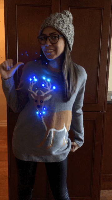 Lit Reindeer