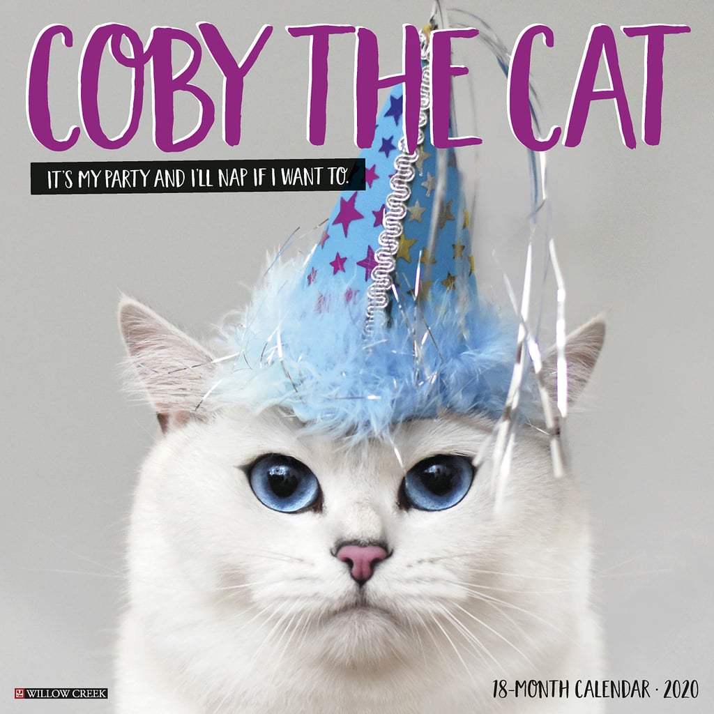 cat dressed as pennywise