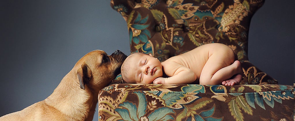 Adorable Newborn and Pet Photos