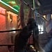 Woman Does Pull-Ups at a Bar
