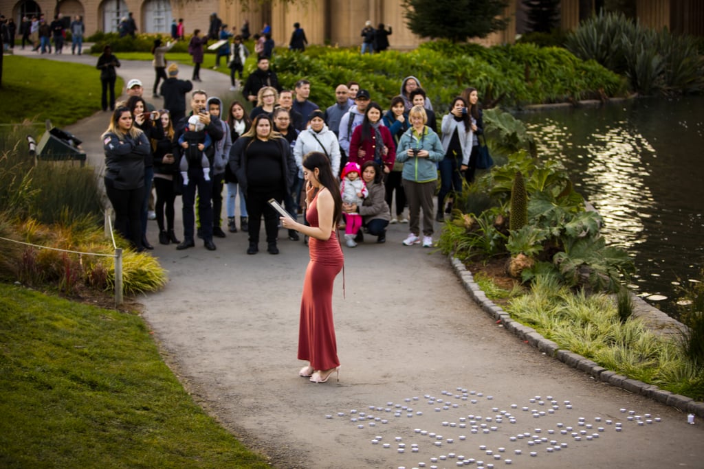 Proposal at the Palace of Fine Arts