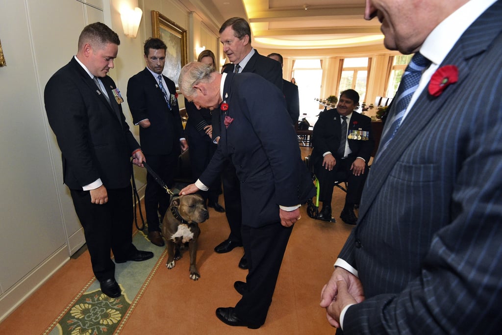 Photos of Prince Charles With Animals