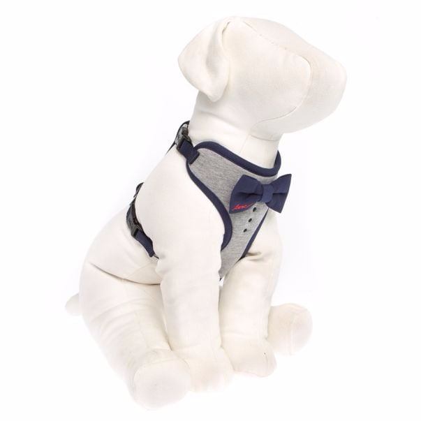 Ellen degeneres bow discount tie dog collar