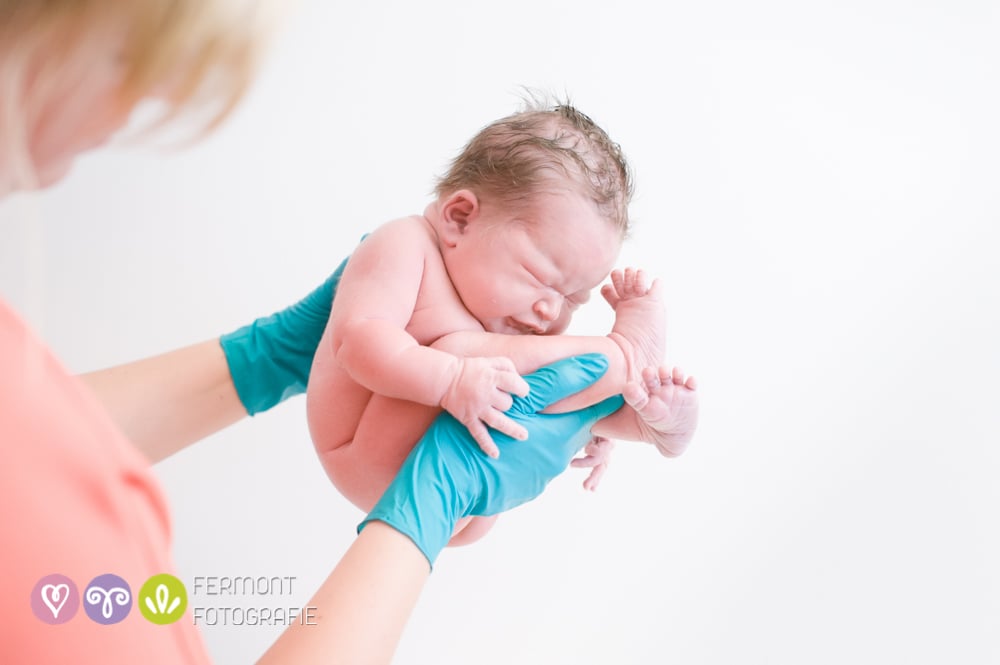 Photos of How Babies Fit Inside of Womb