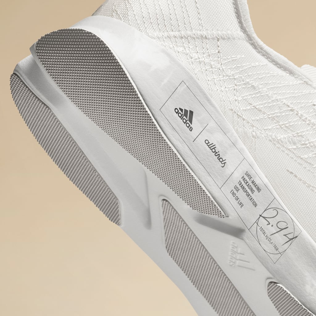 Adidas and Allbirds New Futurecraft.Footprint Running Shoe