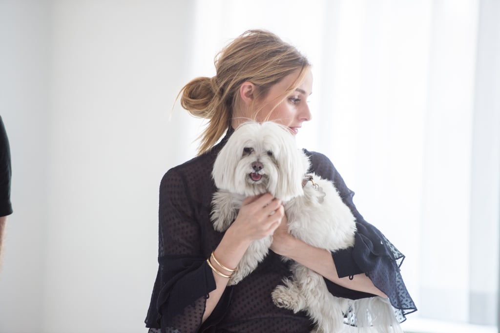 Olivia Palermo + Chelsea28 Fall 2016 Collection