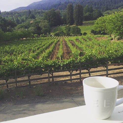 Activities to Do in the Wine Country