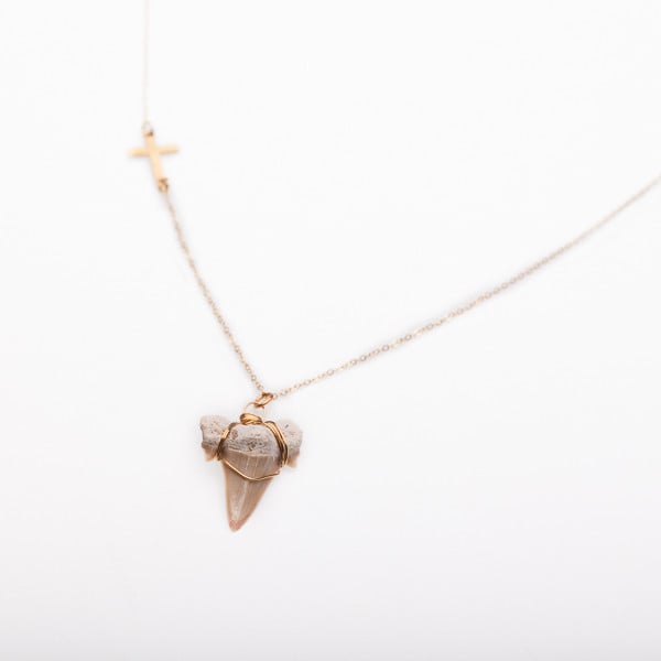 Shark Tooth Necklace