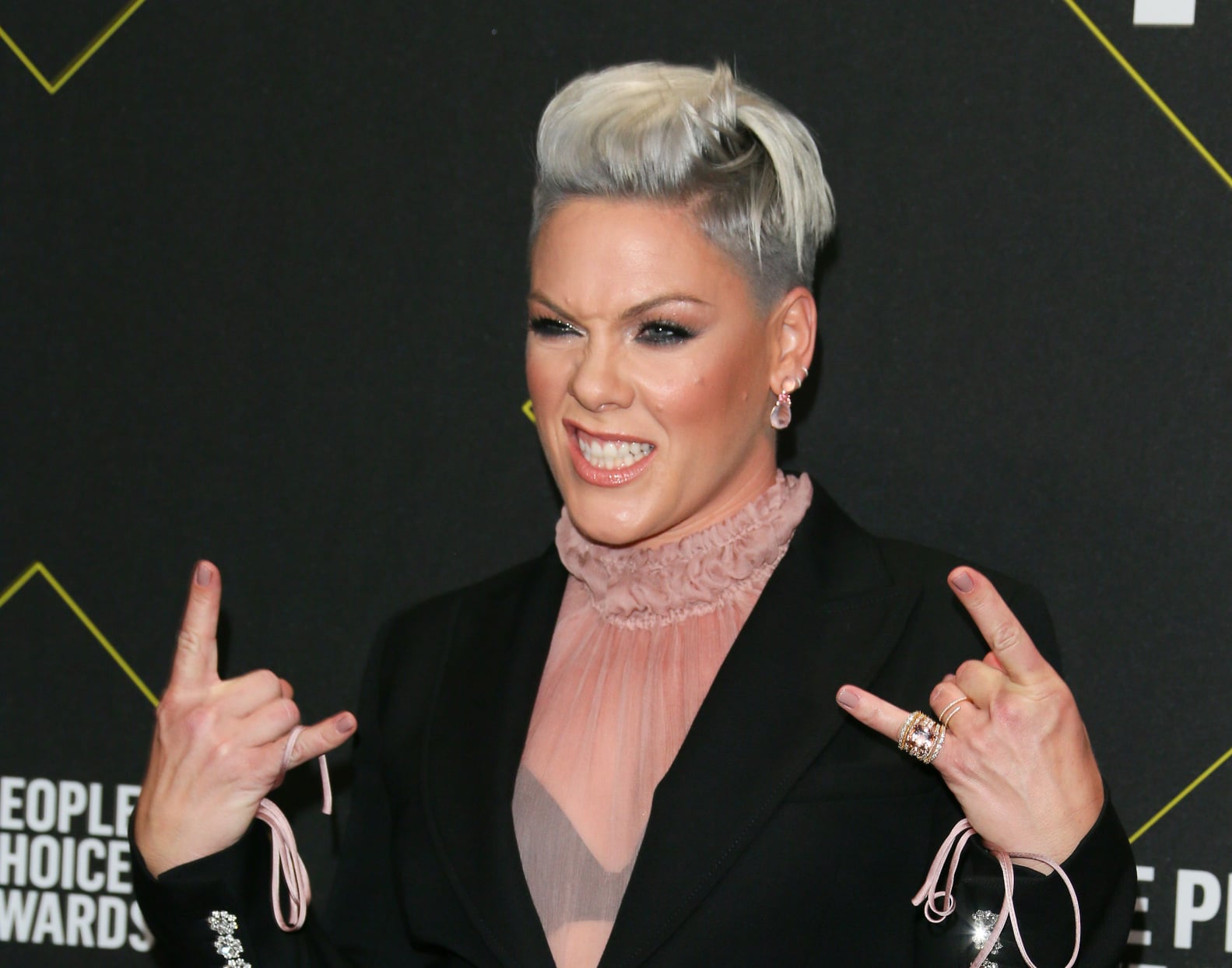 Pink's Acceptance Speech at the 2019 People's Choice Awards | PS ...