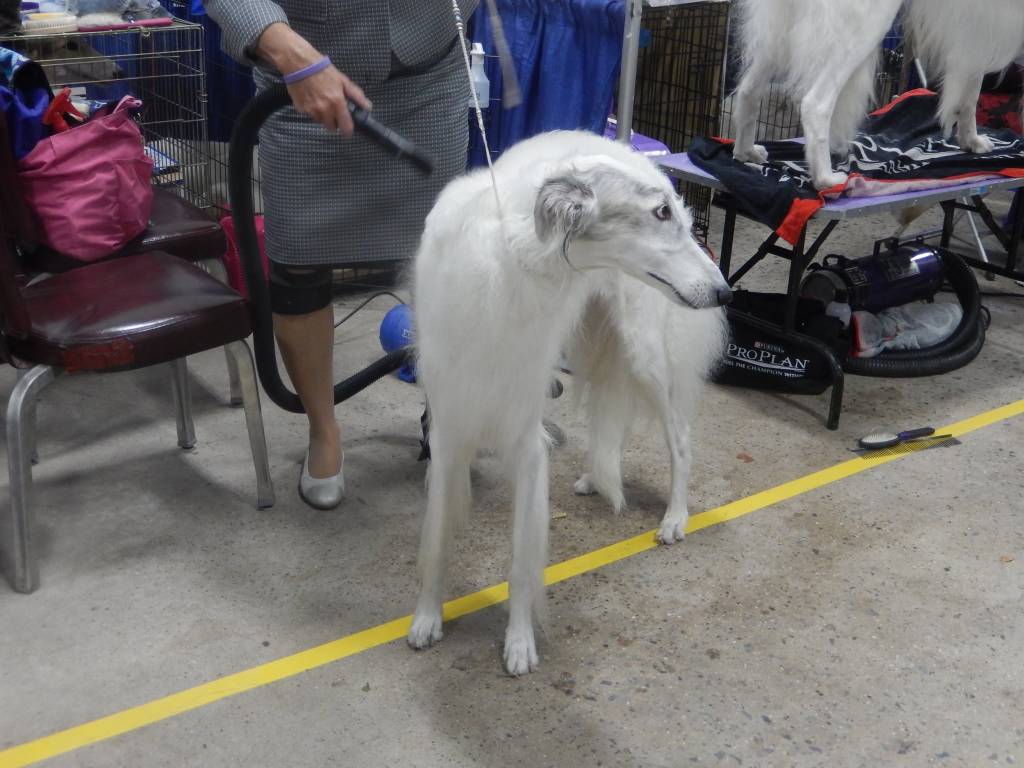 The Level Of Grooming Is So Intense What It S Really Like