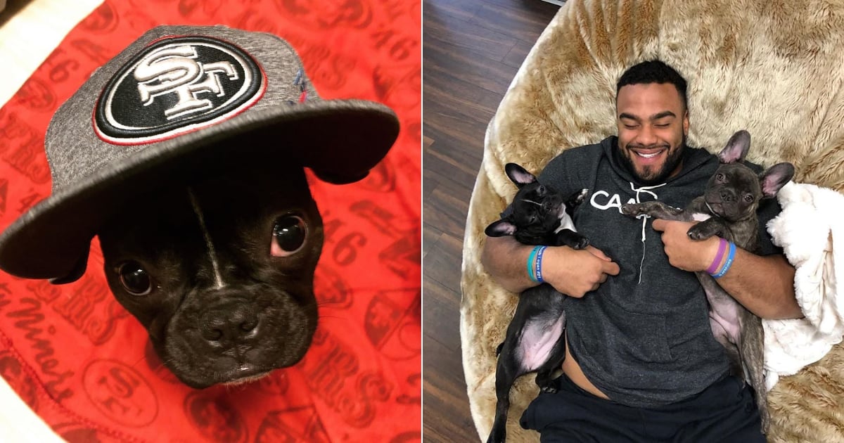 49ers Dog 