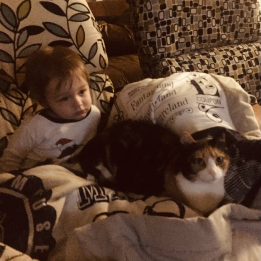Should You Let Your Kids Be There When You Put Down A Pet