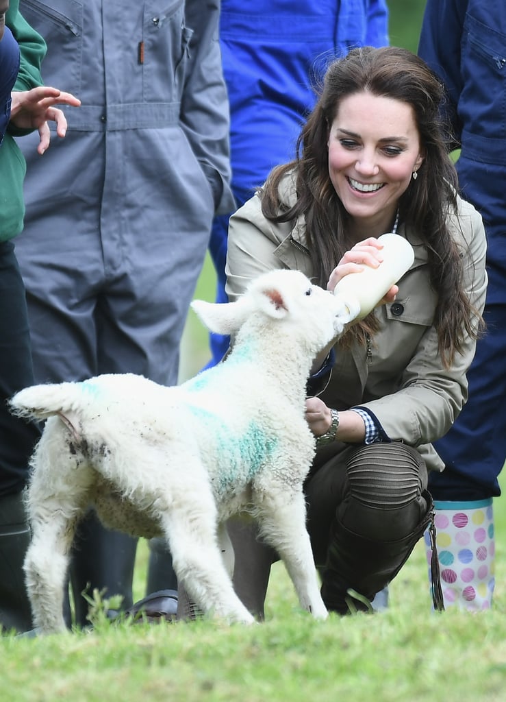 Kate Middleton Feeding a Lamb Pictures May 2017