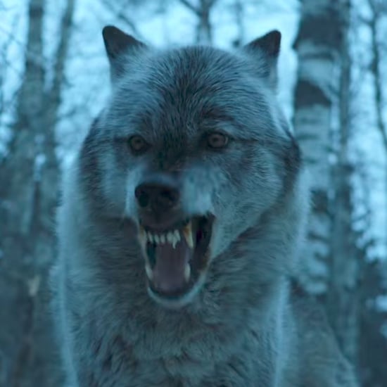 What Did Arya Say to Nymeria on Game of Thrones?