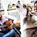 Why Do Dogs Sing? Two Vets Explain