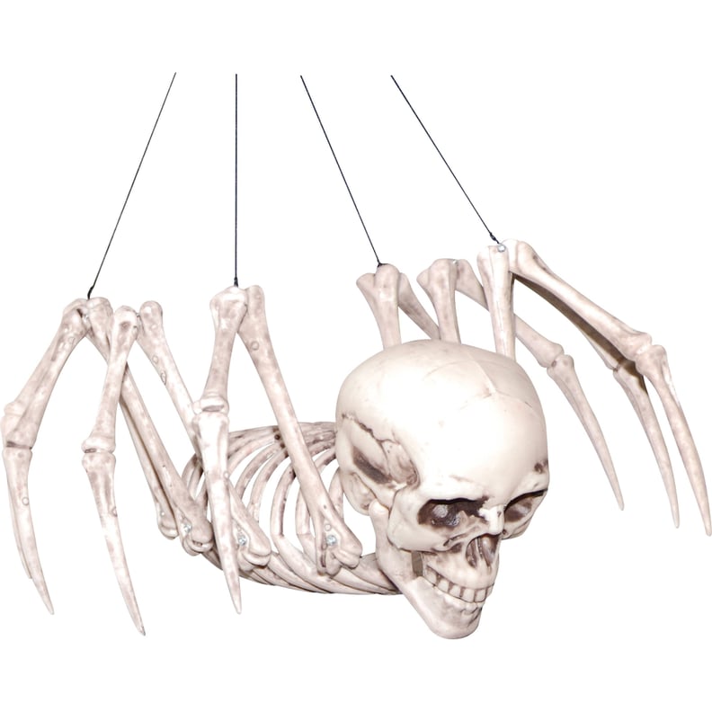 Spider Skeleton