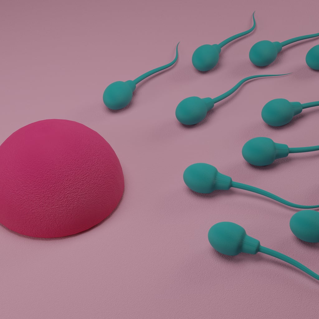 Can Fertility Lube Impact Your Chances of Getting Pregnant?