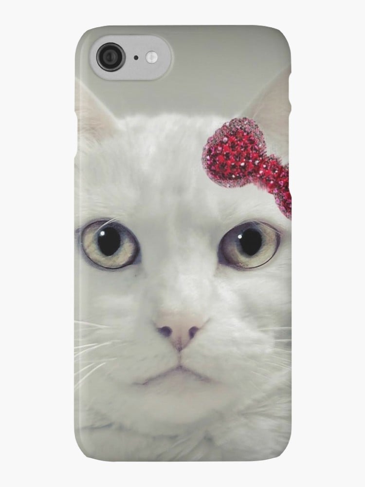 My Hello Kitty case