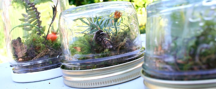 How to Reuse Baby Food Jars