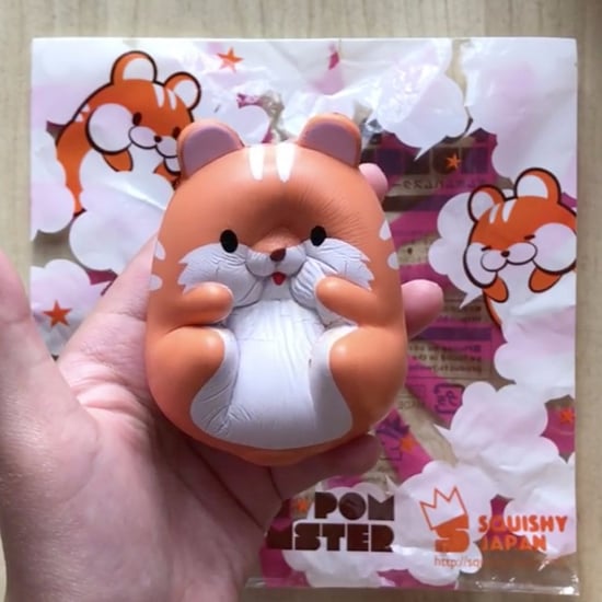 Squishable Objects ASMR Instagram