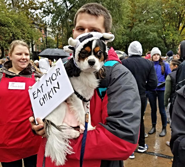 Chick-fil-A Pup