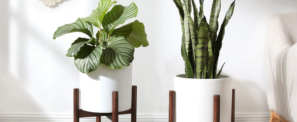 Best Plant Stand From Amazon