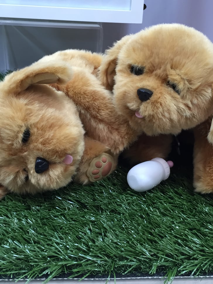 live pets puppy live pets lil puppy new toys from fair 2016 popsugar photo 126 live pets puppy live pets lil puppy new toys from fair 2016 popsugar photo 126
