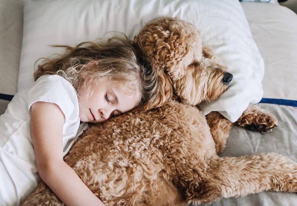 Cute Pictures of Dogs Napping With Kids and Babies