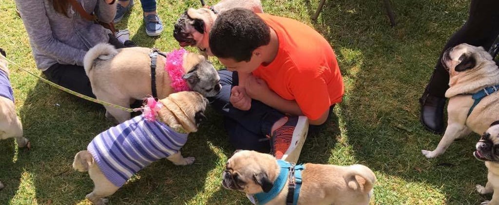 Sister Planned Pug Birthday Party For Boy With Autism