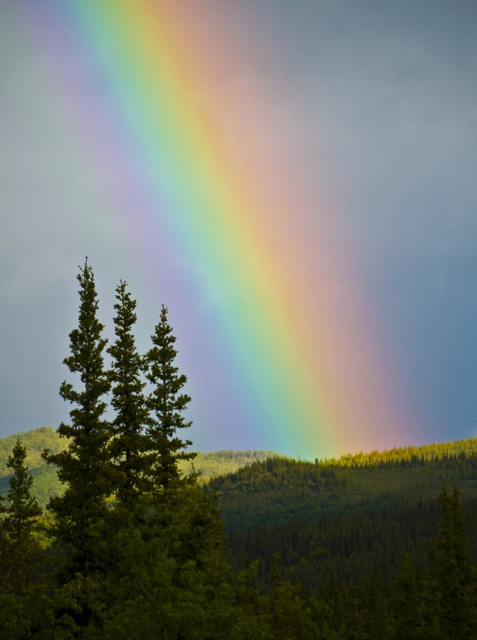 Denali National Park and Preserve: Alaska