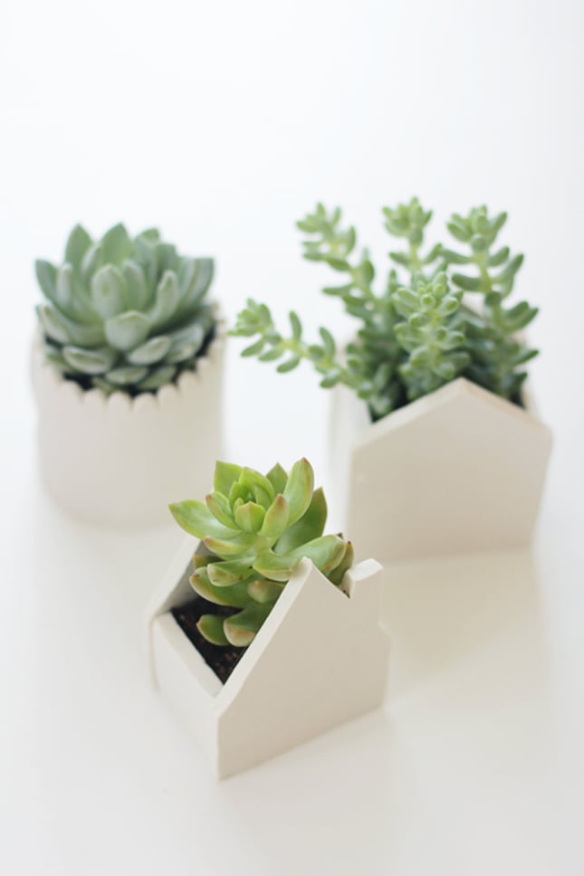 Create adorable succulent planters with these handmade clay pots.
Source: Say Yes to Hoboken
