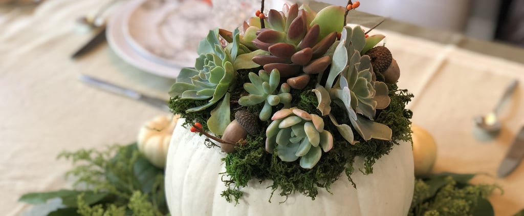 Succulent Pumpkin Decorating Ideas For Halloween and Autumn