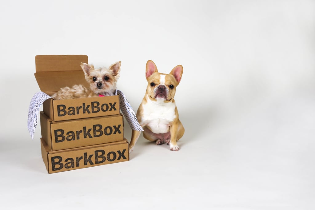 Barkbox ($29 and up)
Ella Bean: “There’s never not something we love in our Barkbox.”
Chloe: “Agreed”