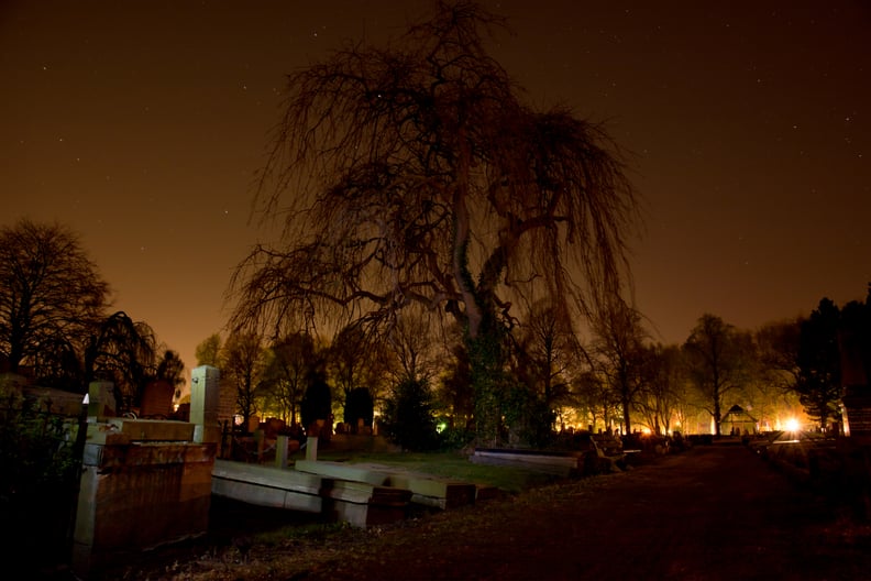 Take a cemetery tour.