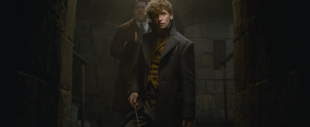 Fantastic Beasts and Where to Find Them Sequel Details