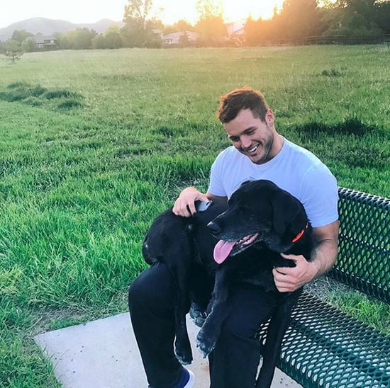 Colton Underwood and His Dog Pictures