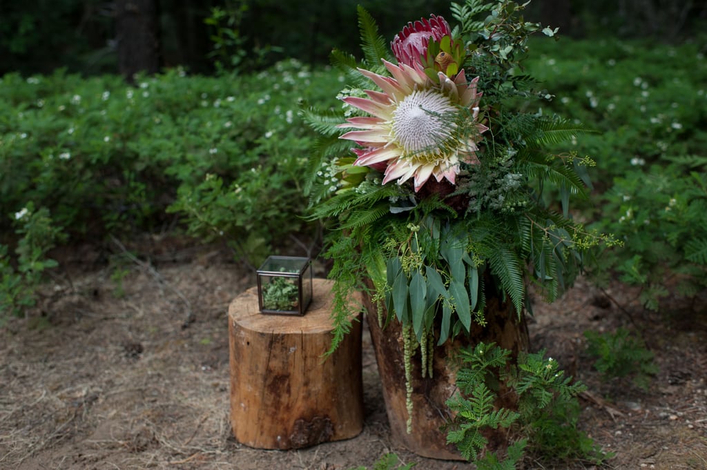 California Forest Wedding